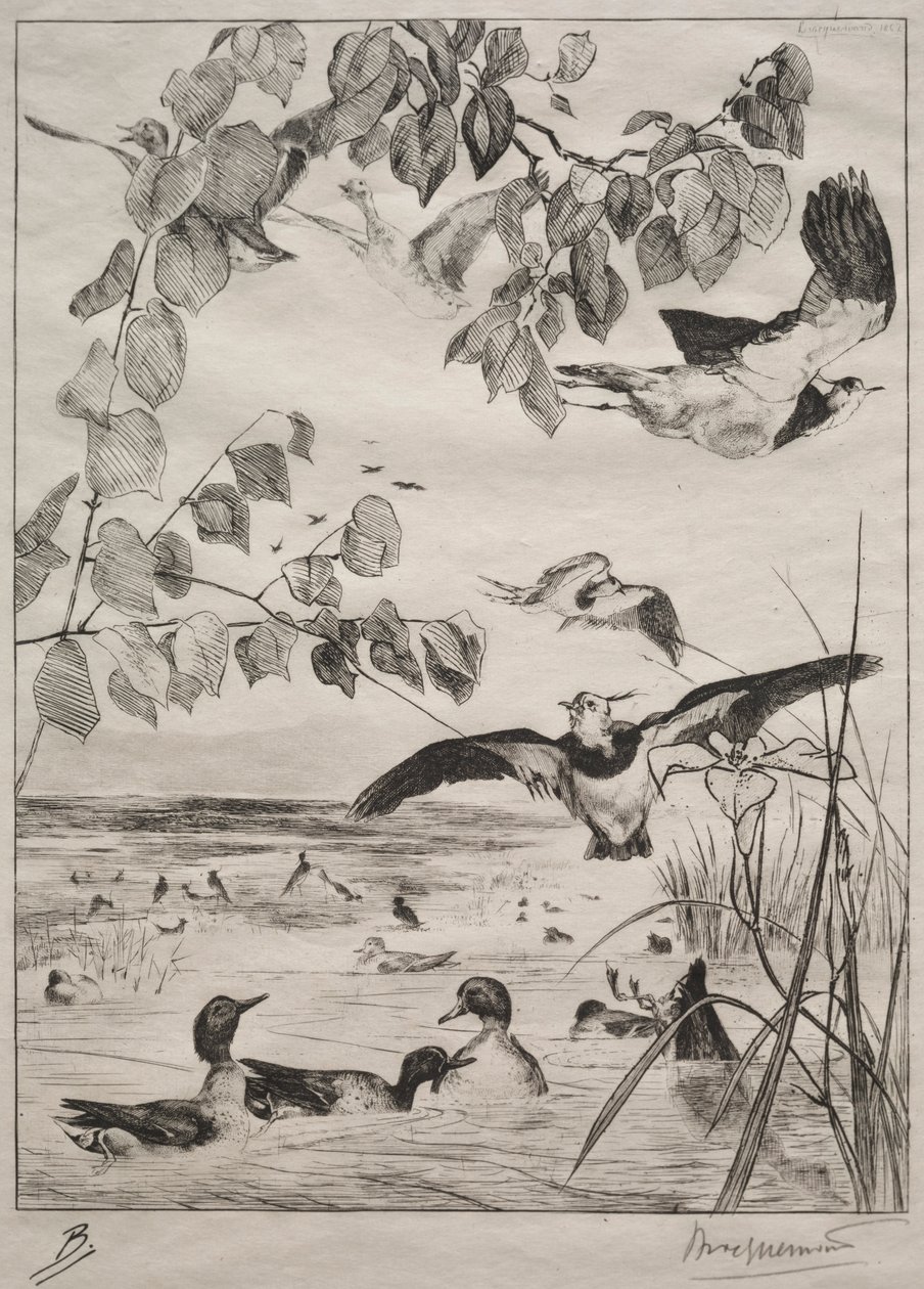 Čejky a čírky, 1862. od Felix Bracquemond