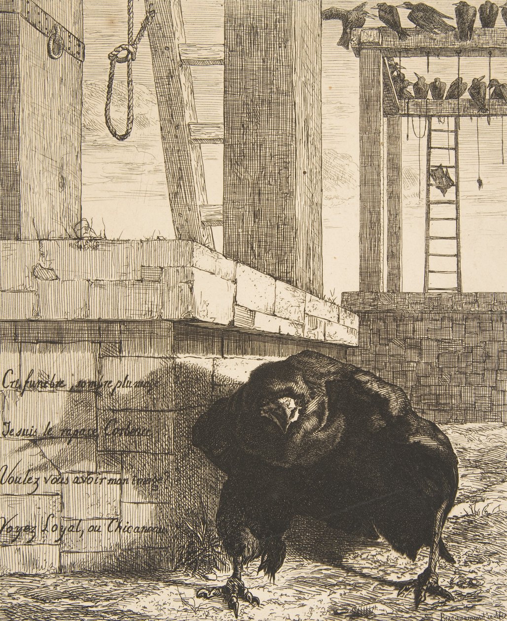 Havran, 1859. od Felix Bracquemond