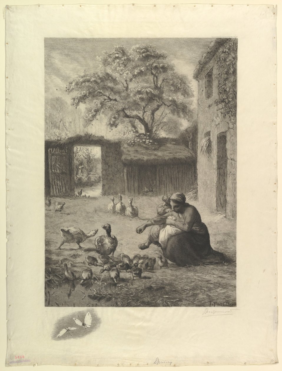 Jaro, po pastelu od Milleta, 1888. od Felix Bracquemond