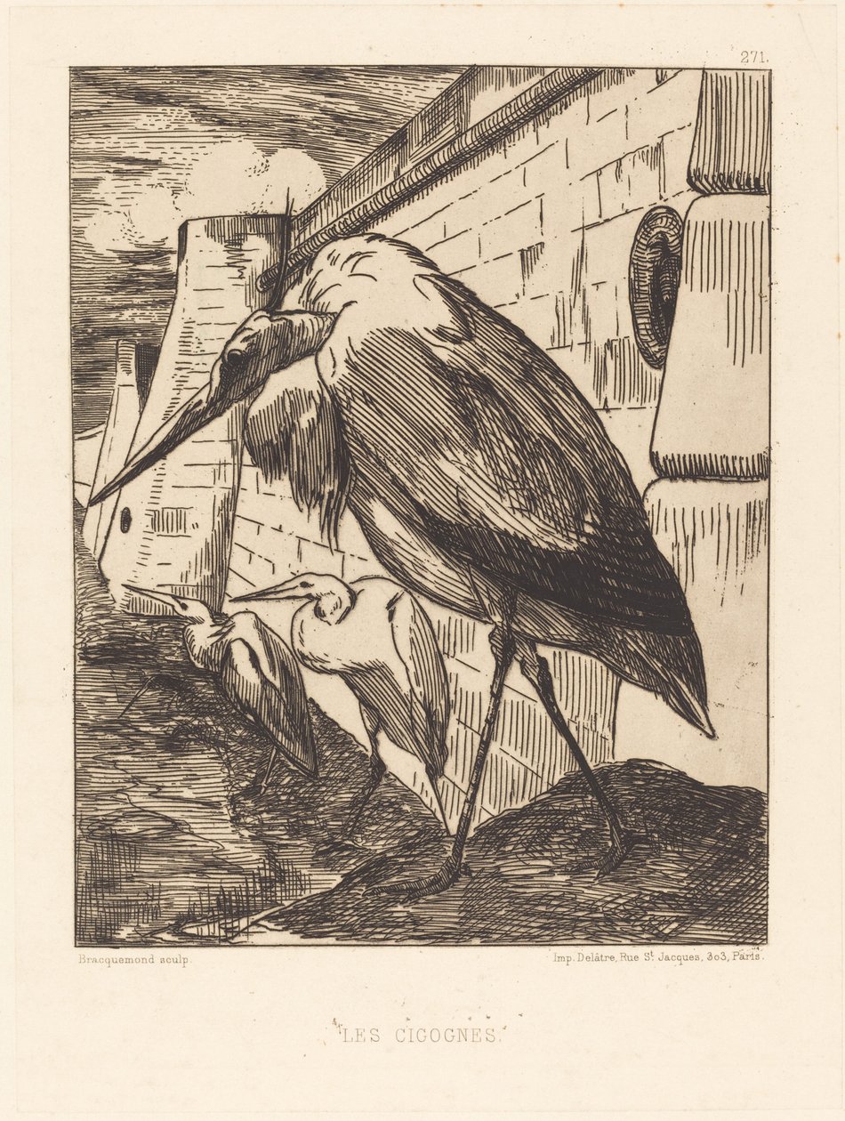 Les Cigognes (Čápi) od Felix Bracquemond