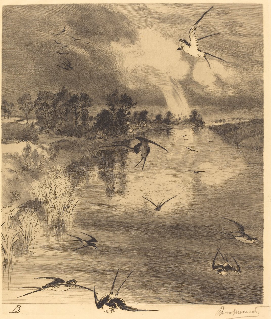 Les Hirondelles (Vlaštovky) od Felix Bracquemond