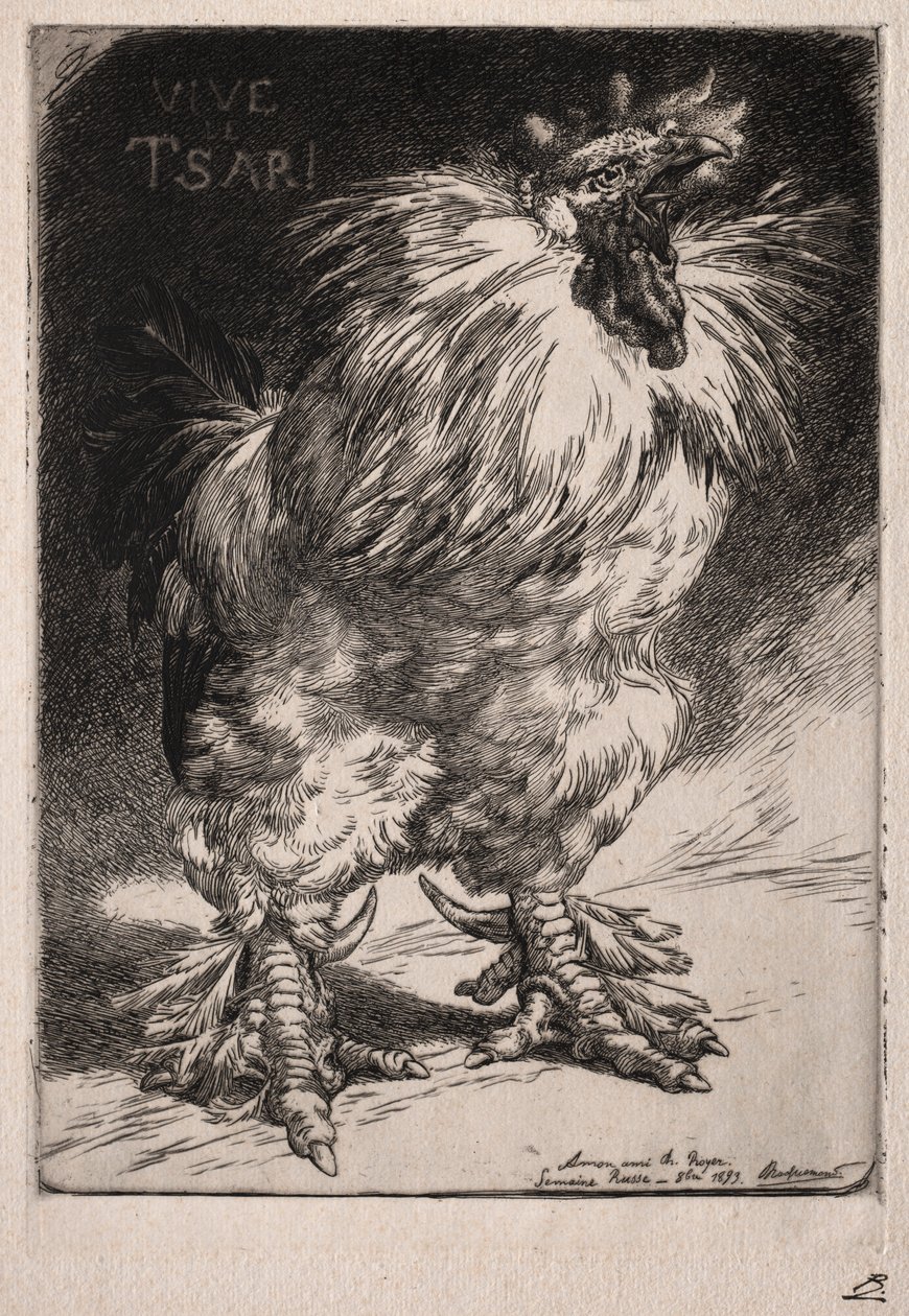 Francouzský kohout, 1893. od Felix Bracquemond