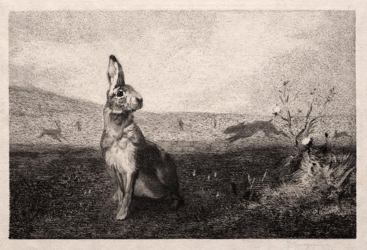 Zajíc podle A. de Balleroy, 1865. od Felix Bracquemond