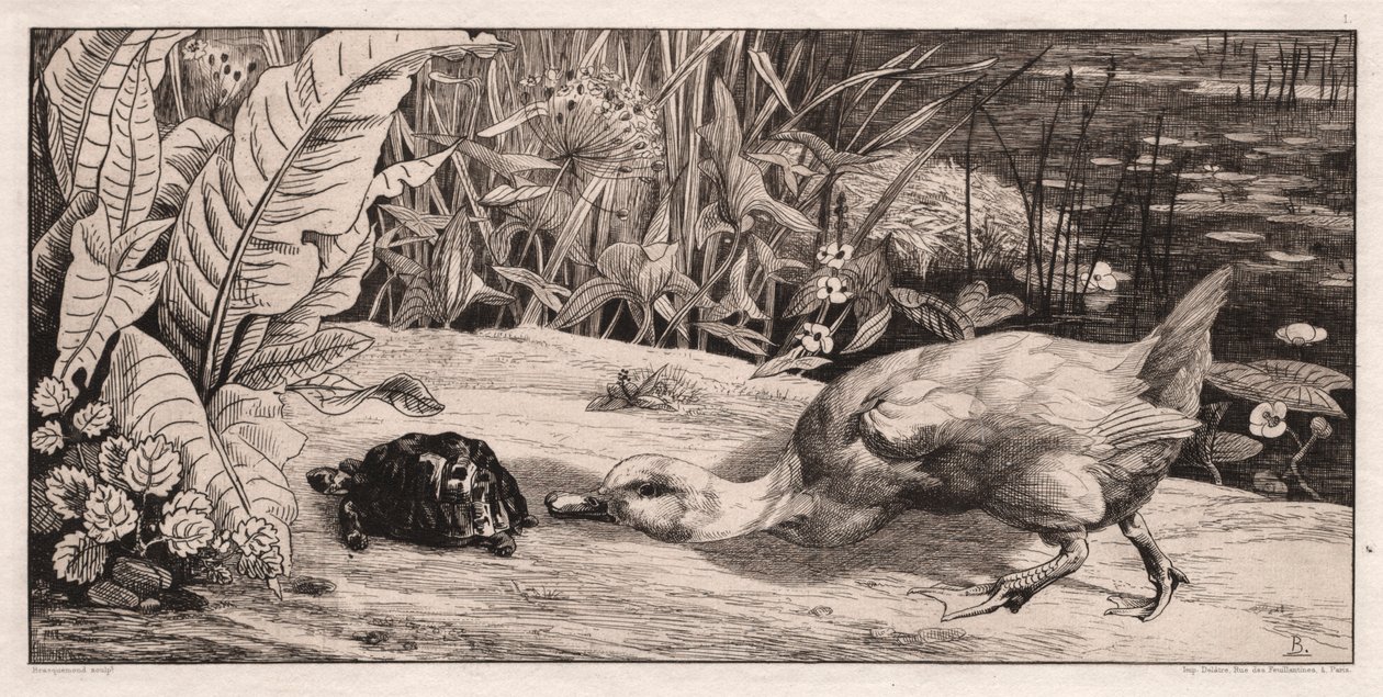 Neznámý, 1862. od Felix Bracquemond