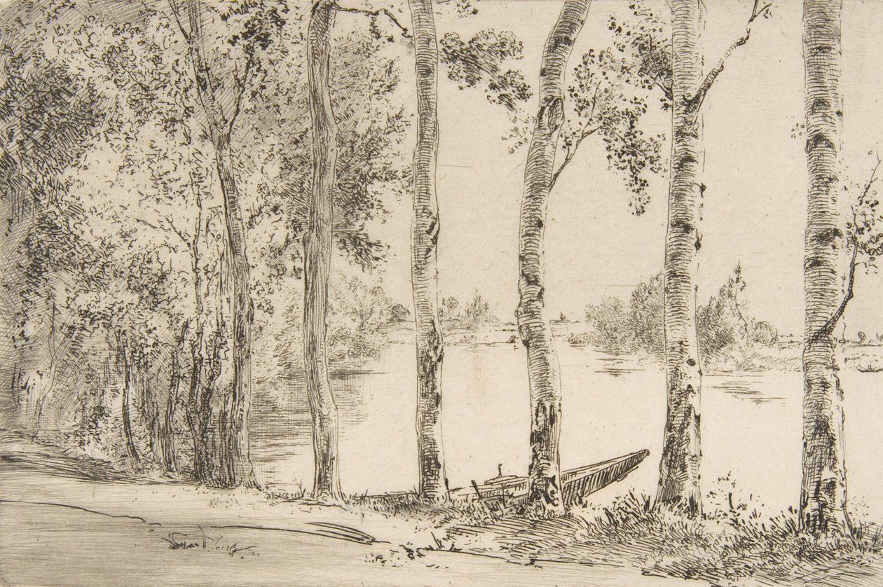 Aspens u Seiny, ca. 1884. od Felix Bracquemond