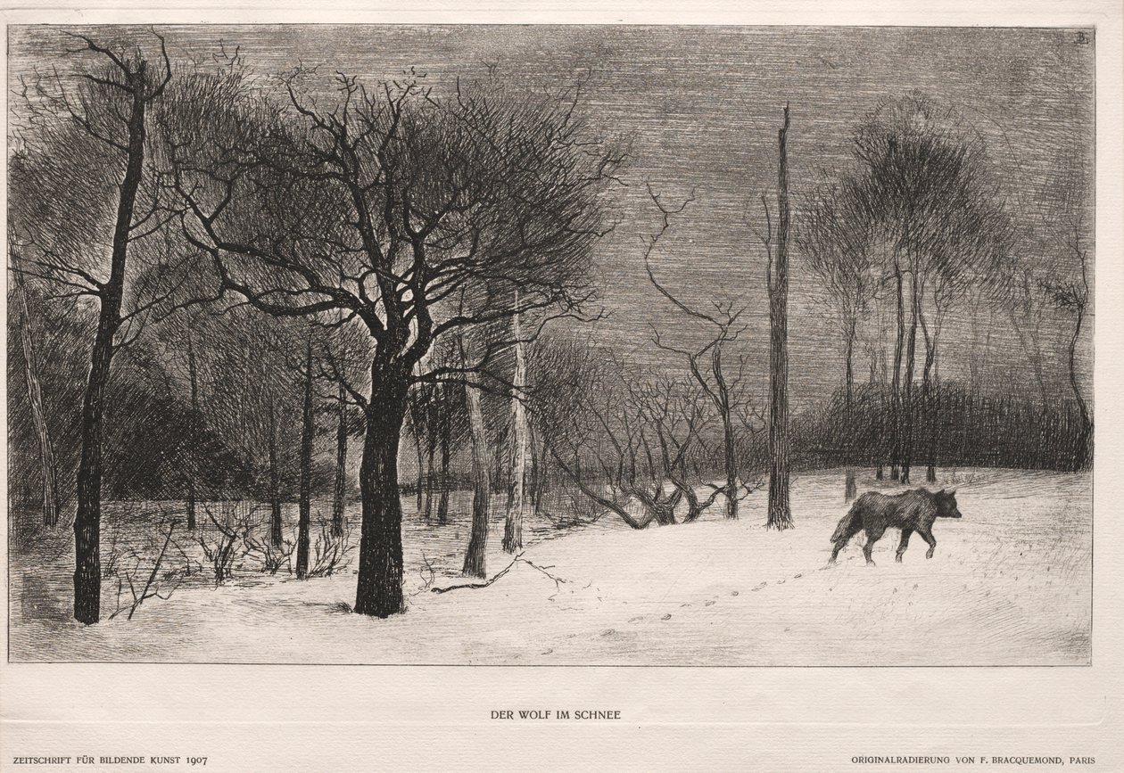 Zima, 1862. od Felix Bracquemond