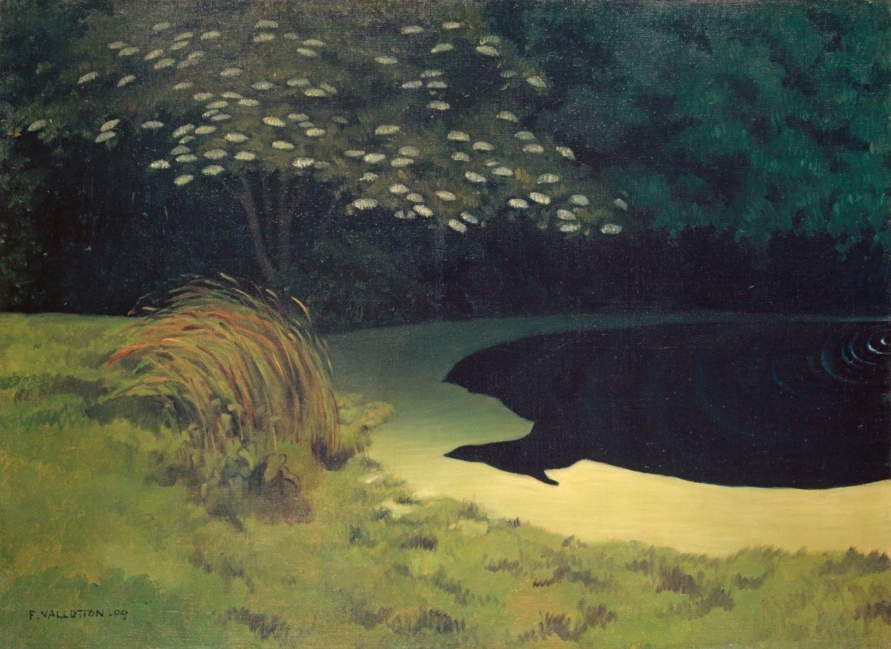 Rybník od Felix Edouard Vallotton