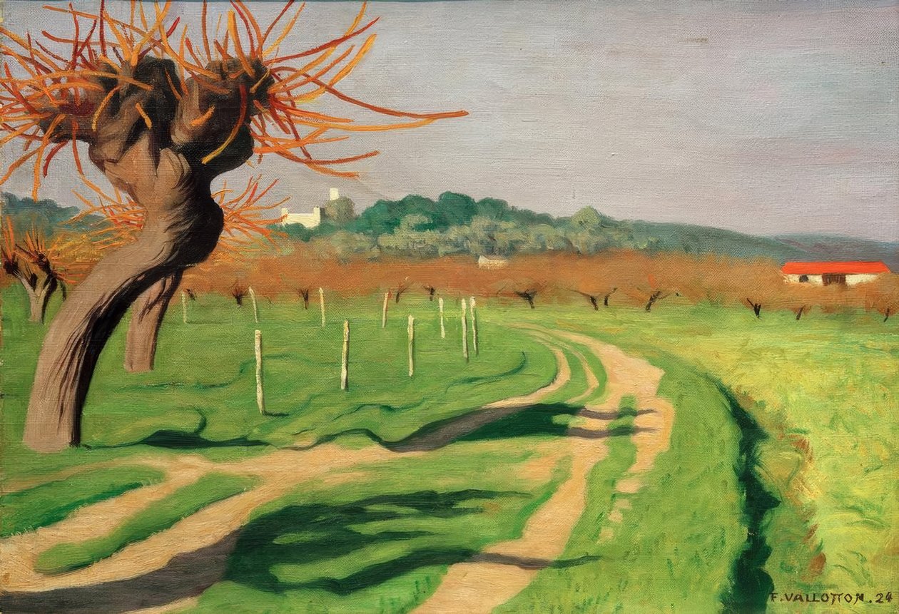 Údolí Cagne od Felix Edouard Vallotton