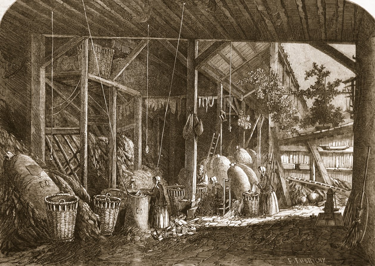 Hadrový sklad v Quartier Mouffetard v Paříži, ilustrace z „The Illustrated London News“, 8. června 1861 od Felix Thorigny