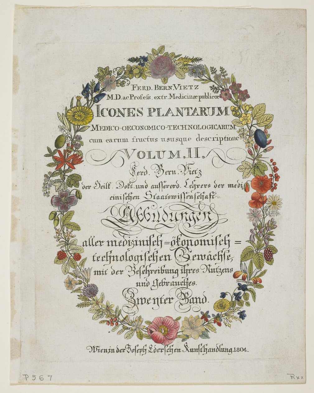 Frontispis a titulní list, svazek II, z knihy Icones Plantarum Medico-Oeconomico-Technologicarum cum Earum Fructus ususque Descriptione, 1804 (ručně kolorovaná rytina) od Ferdinand Bernhard Vietz