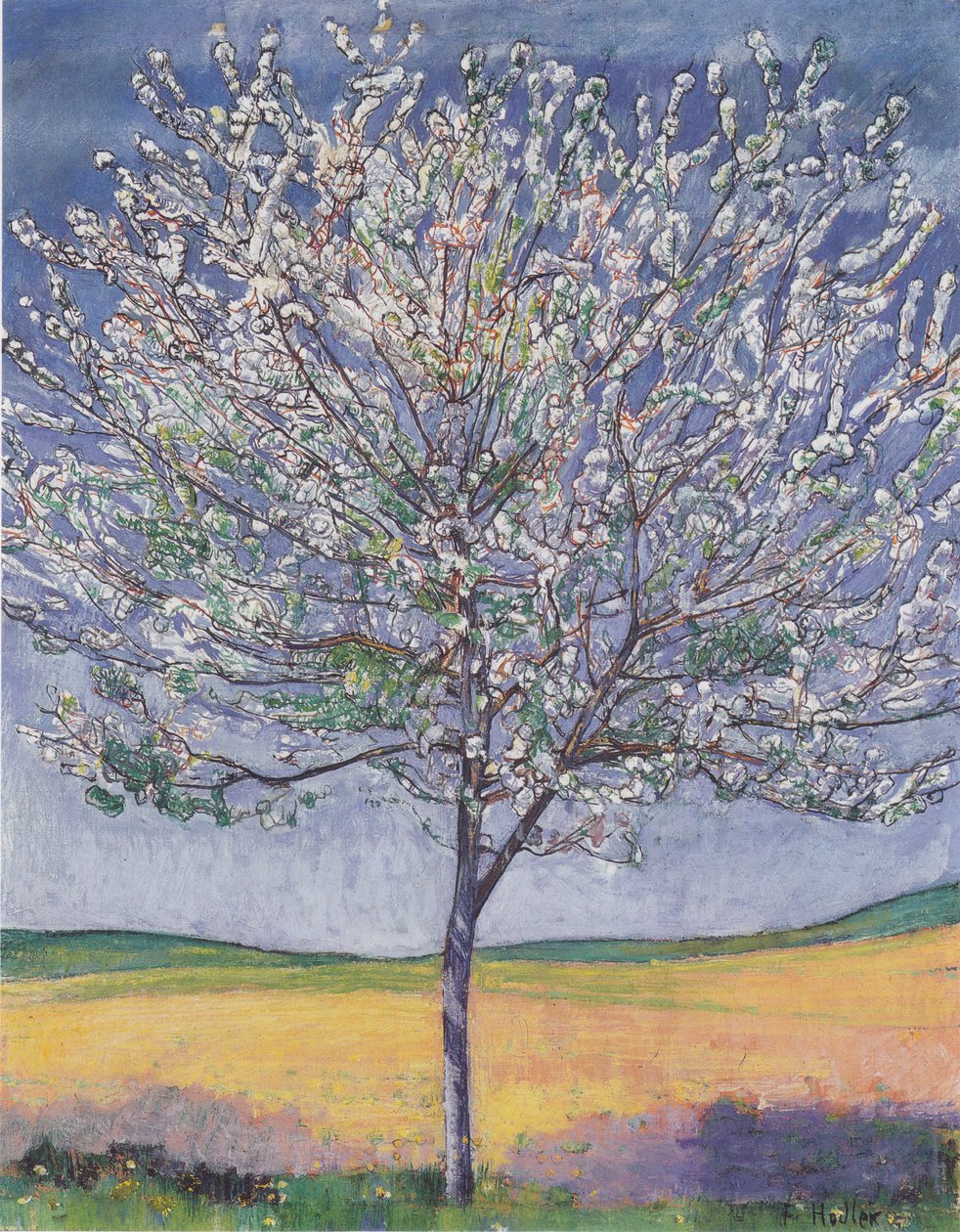 Kvetoucí třešeň od Ferdinand Hodler