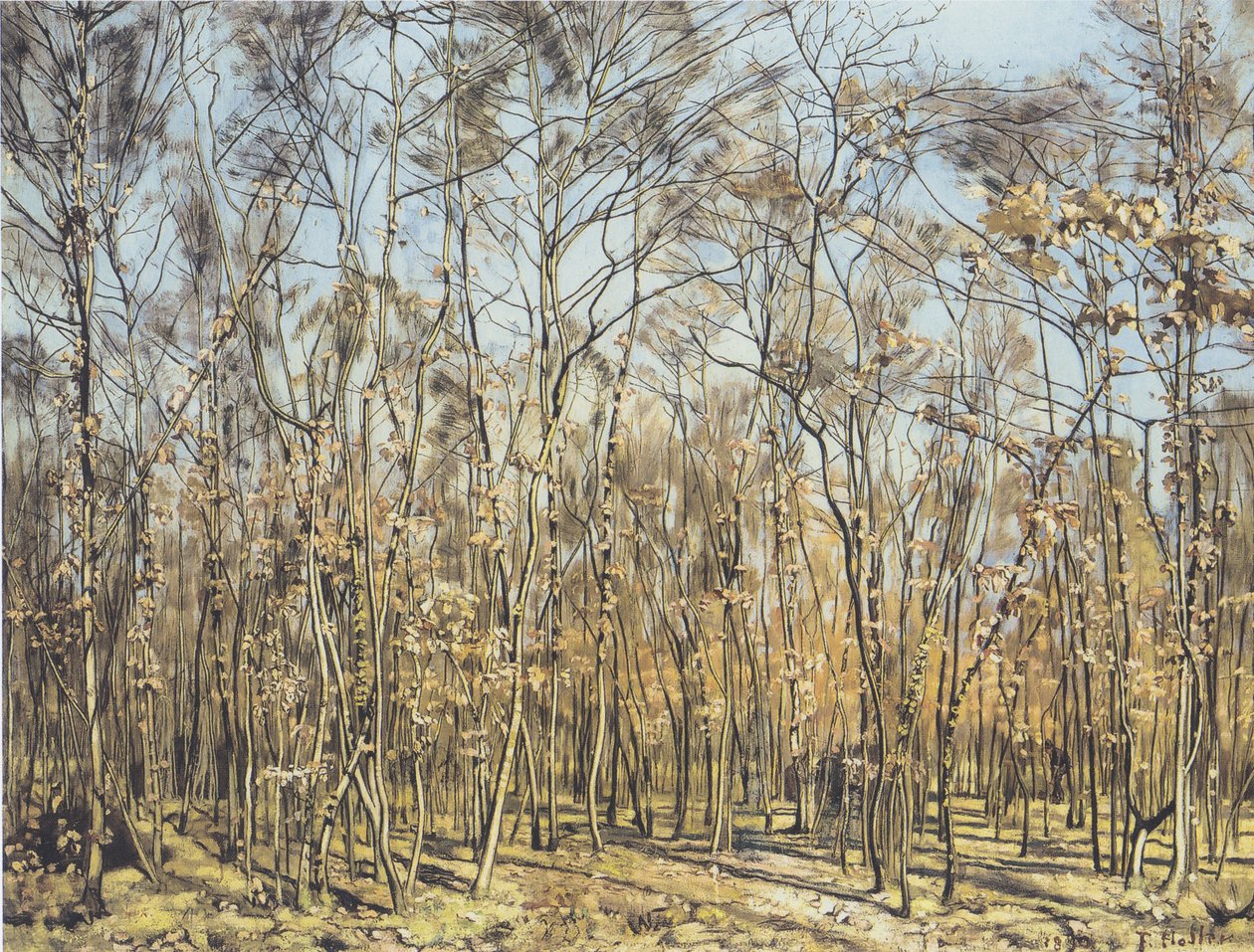 Bukový les od Ferdinand Hodler