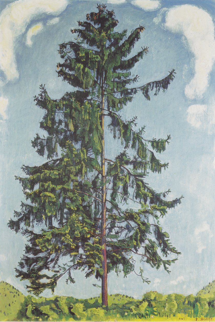 Jedle na Chamby2 od Ferdinand Hodler