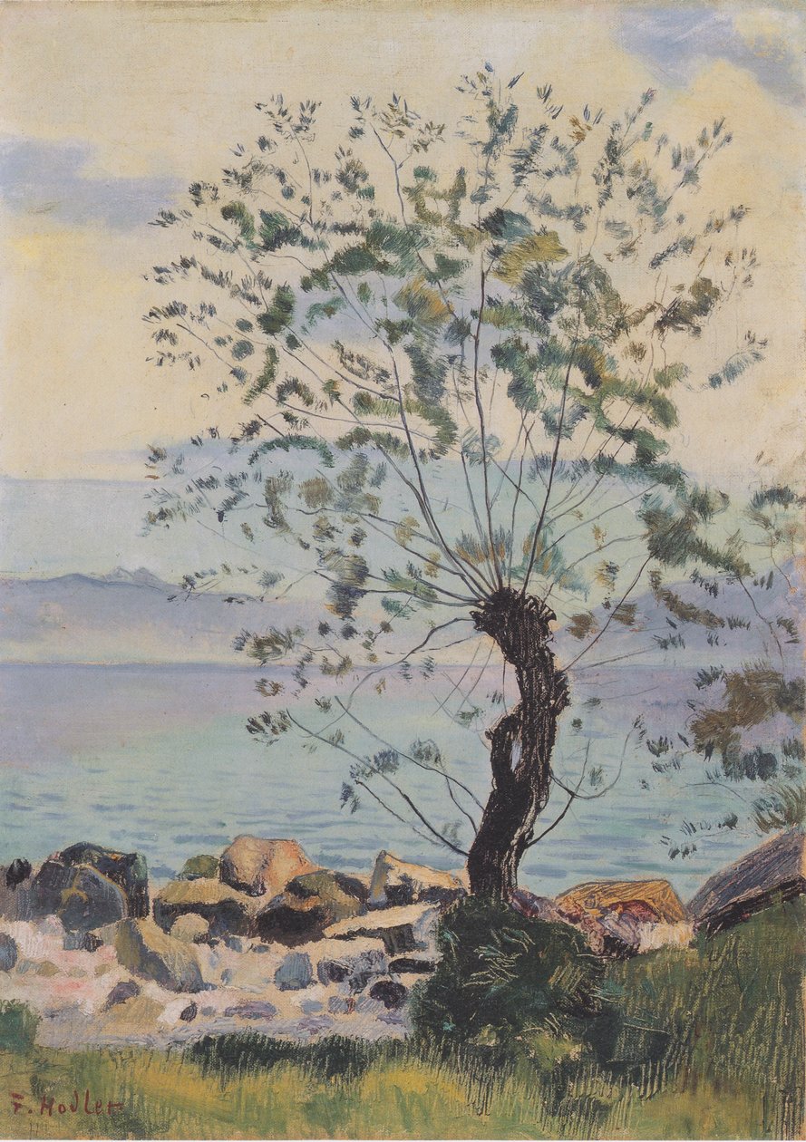 Weidebaum am See od Ferdinand Hodler