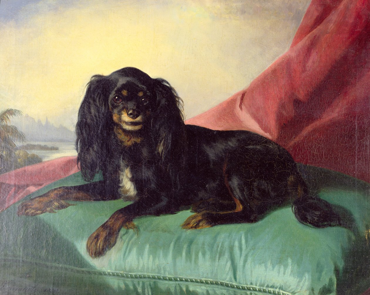 King Charles španěl na zeleném polštáři od Ferdinand Krumholz