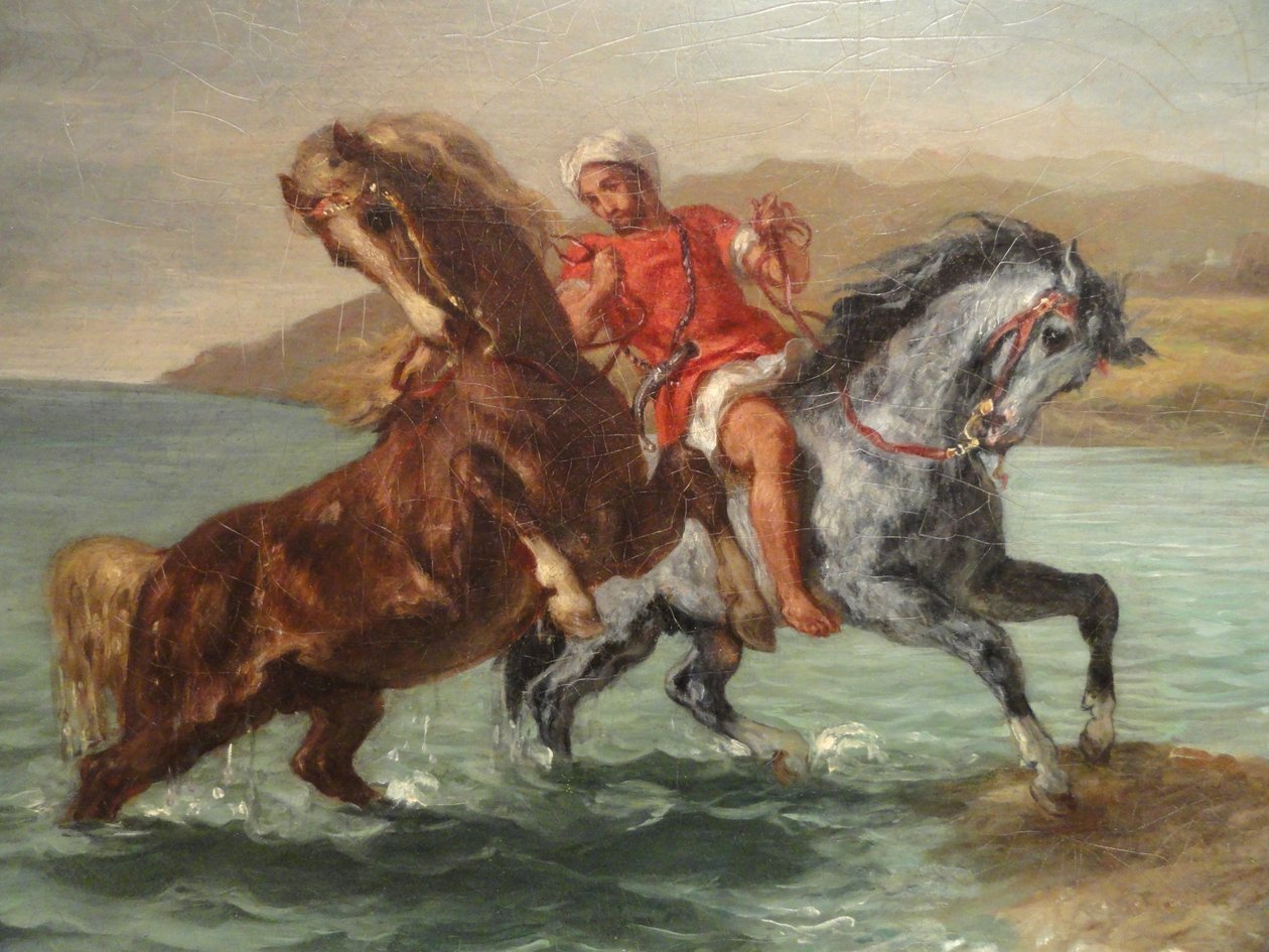 Kolekce Phillips od Ferdinand Victor Eugene Delacroix