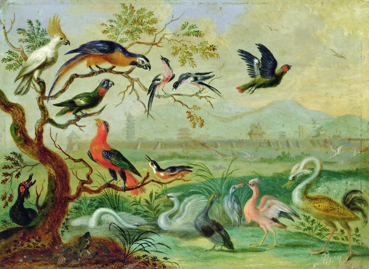 Ptáci ze čtyř kontinentů v krajině s výhledem na Peking v pozadí (olej na mědi) od Ferdinand van Kessel