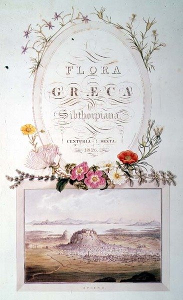 Titulní strana k 6. dílu „Flora Graeca Sibthorpiana“ od Ferdinand Bauer