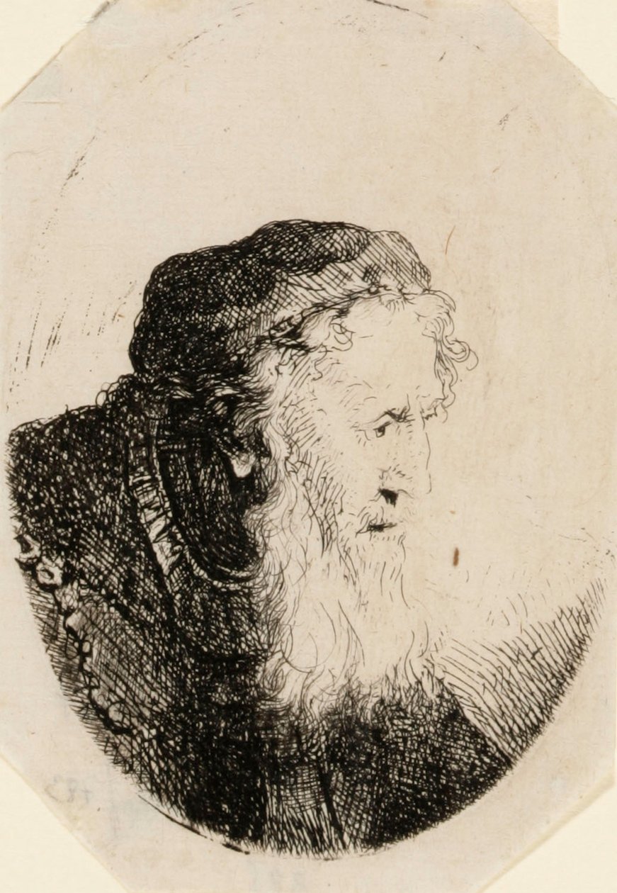 Starý muž s vlajícím plnovousem od Ferdinand Bol