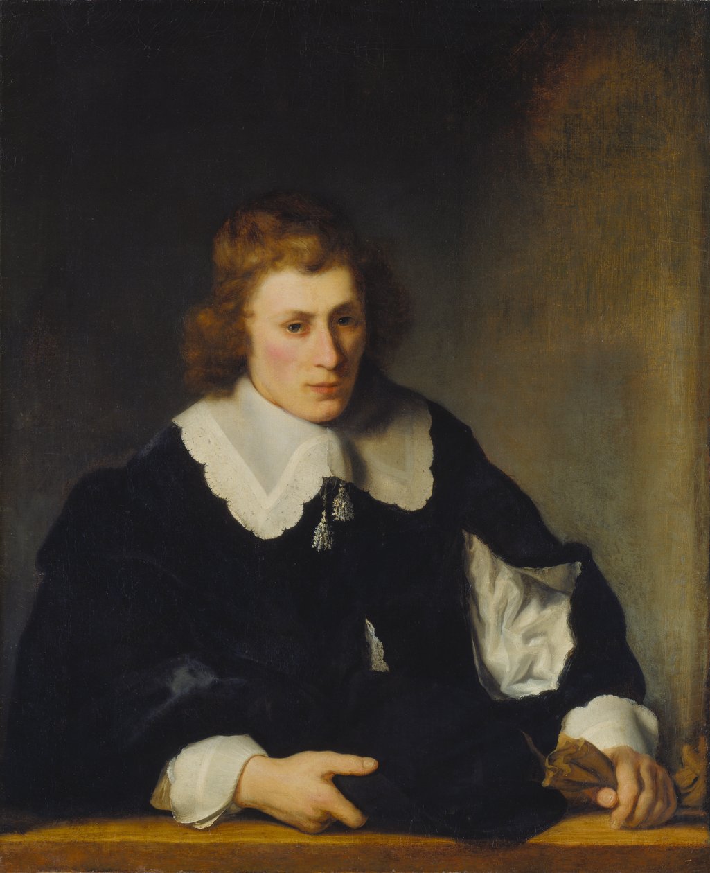 Portrét mladého muže od Ferdinand Bol