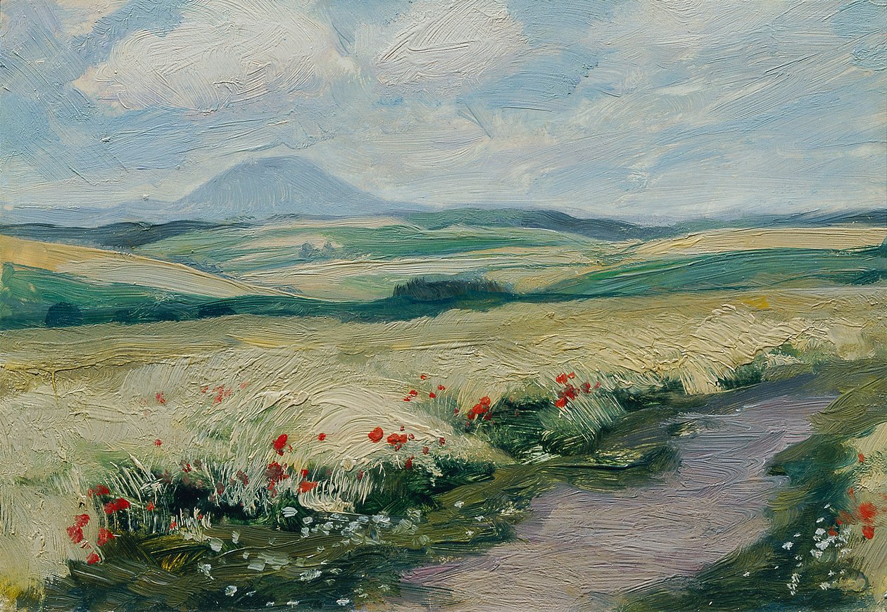 Podřipsko (z portfolia "16 pohledů do české krajiny 