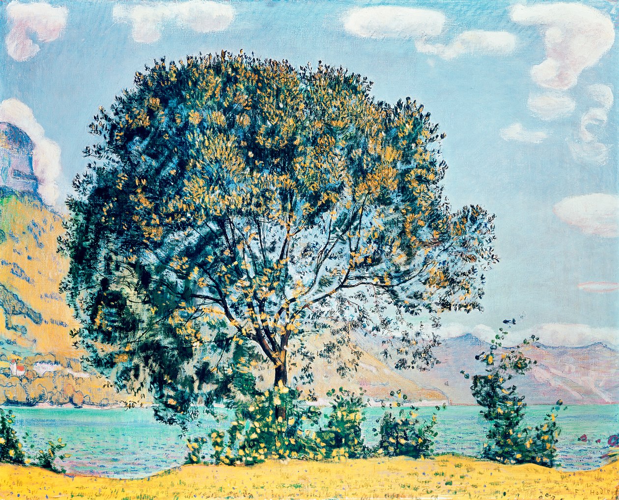 Neznámý obrázek od Ferdinand Hodler