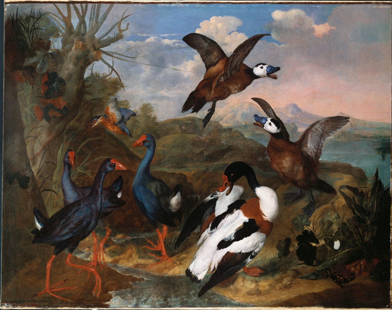 Shell Ducks and other Fowl in a Landscape, 1720 od Ferdinand Phillip de Hamilton