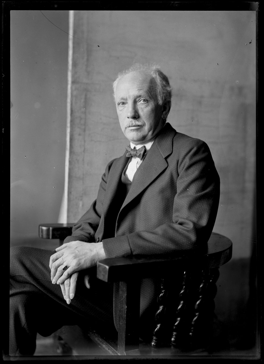 Obraz Richarda Strausse (1864-1949) od Ferdinand Schmutzer