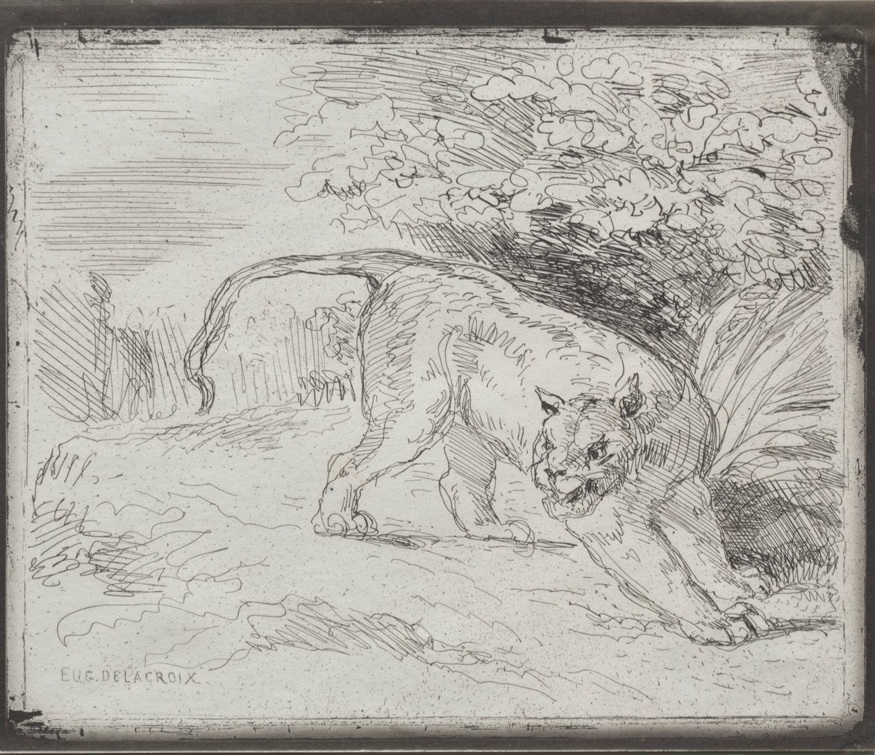 Tygr v pasti, 1854. od Ferdinand Victor Eugene Delacroix