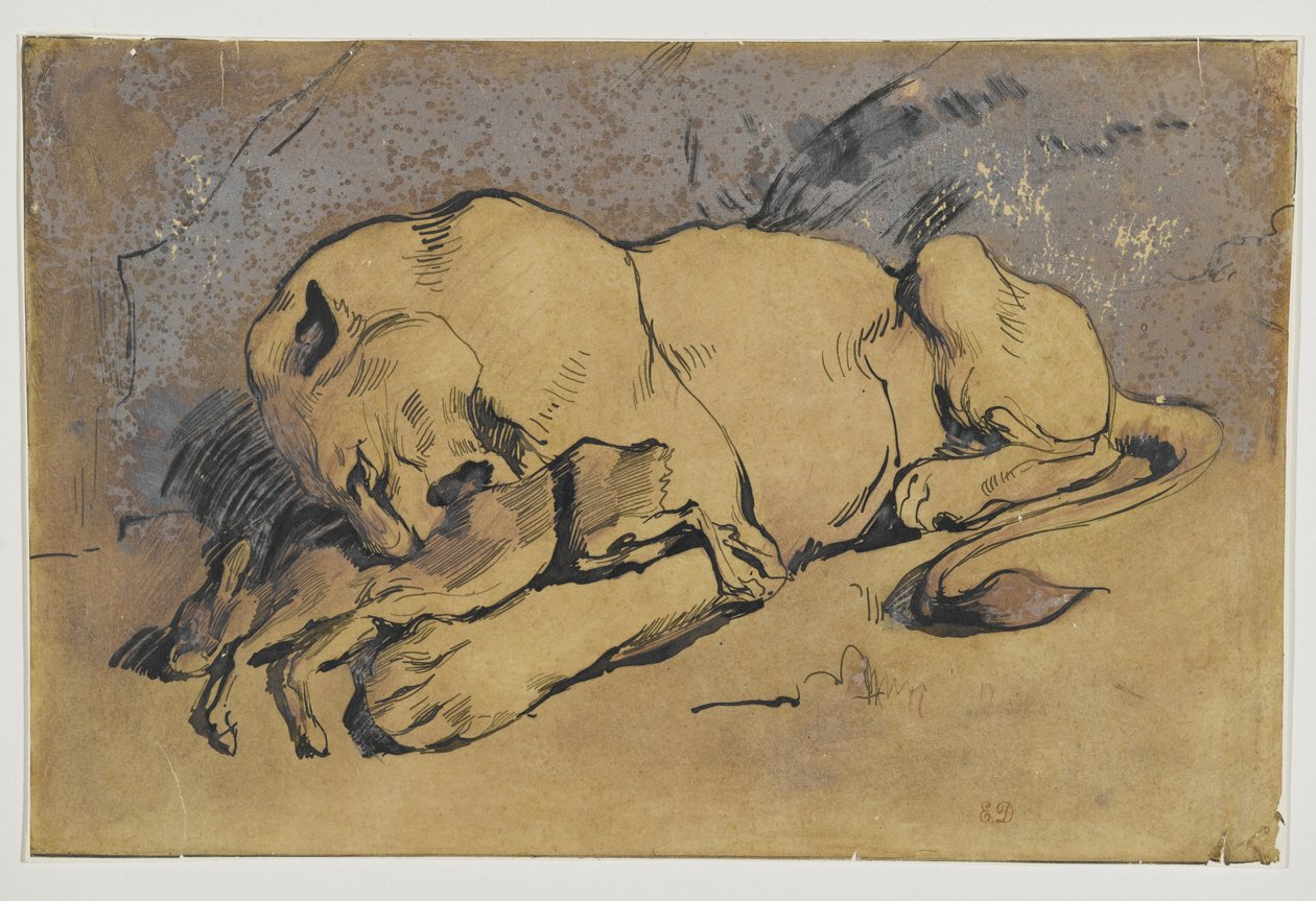 Lvice požírající králíka (pero a inkoust s načervenalým praním na hnědém papíře) od Ferdinand Victor Eugene Delacroix
