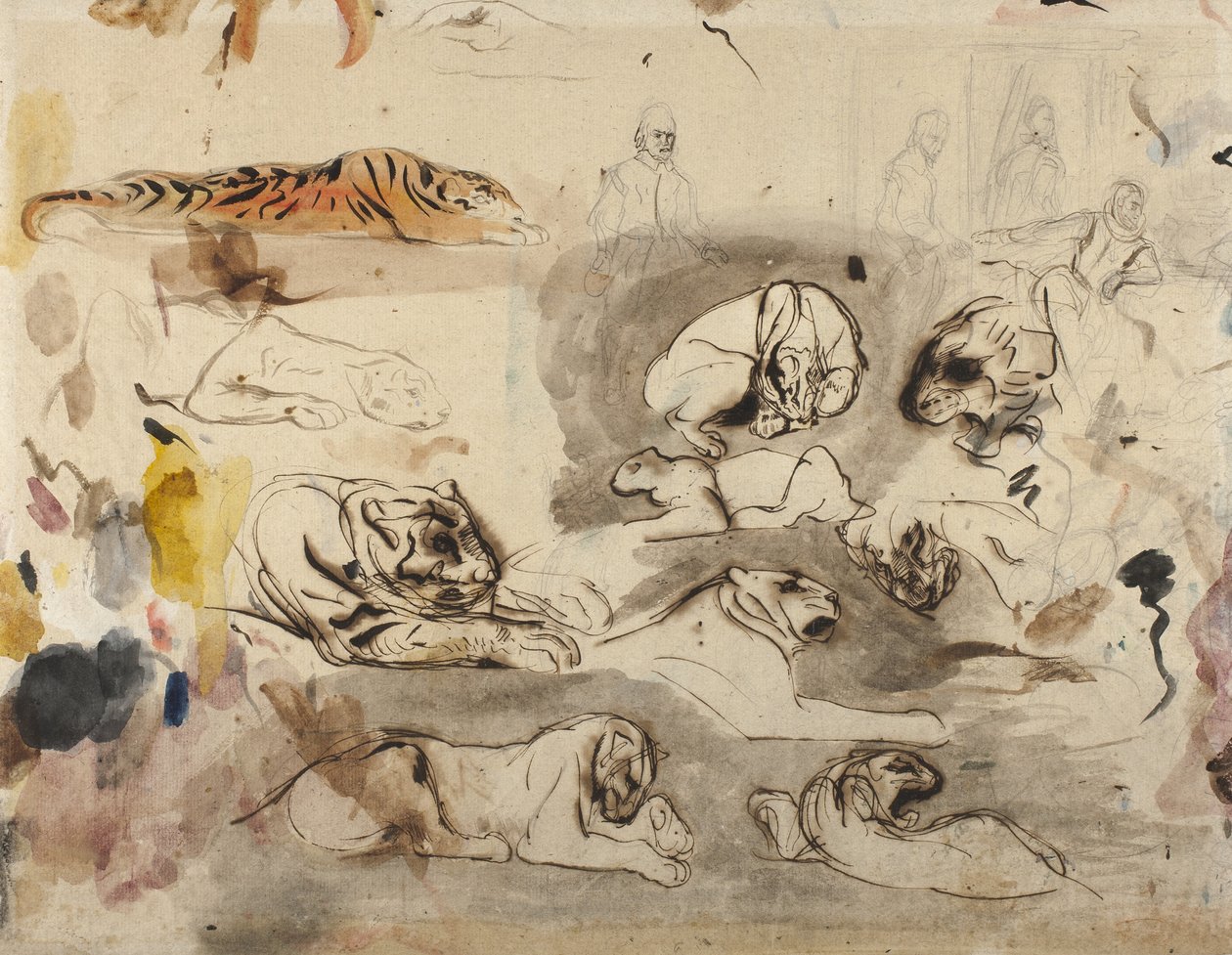 Náčrtky tygrů a mužů v kostýmu 16. století, 1828-29 od Ferdinand Victor Eugene Delacroix
