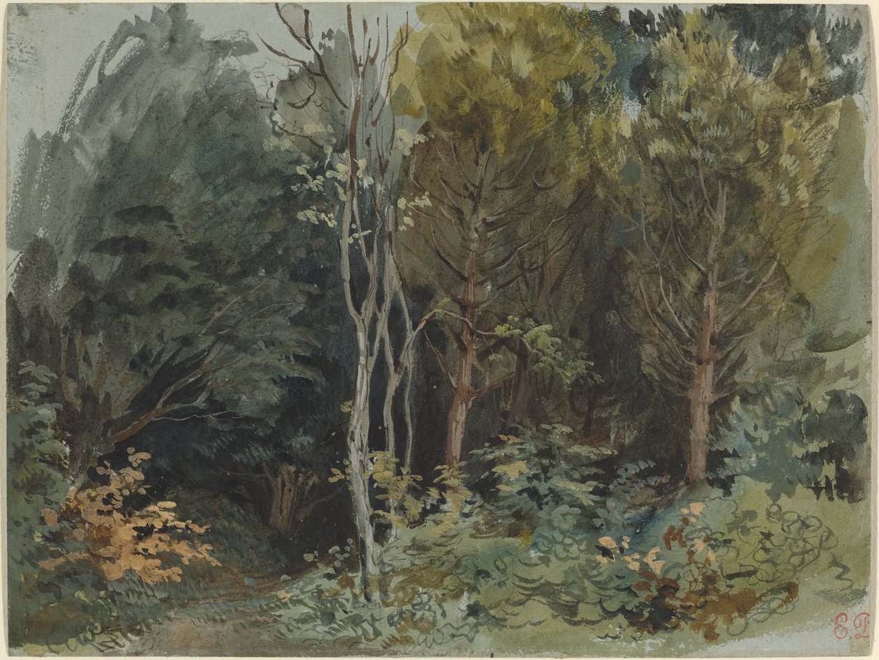 The Edge of a Wood at Nohant, c. 1842-1843 (akvarel) od Ferdinand Victor Eugene Delacroix
