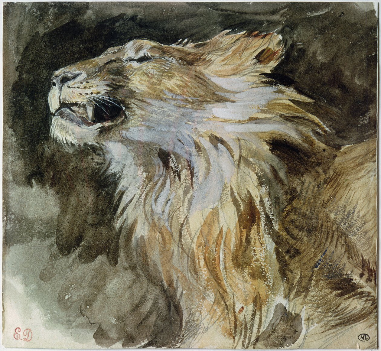 Hlava lva (akvarel na papíře) od Ferdinand Victor Eugene Delacroix
