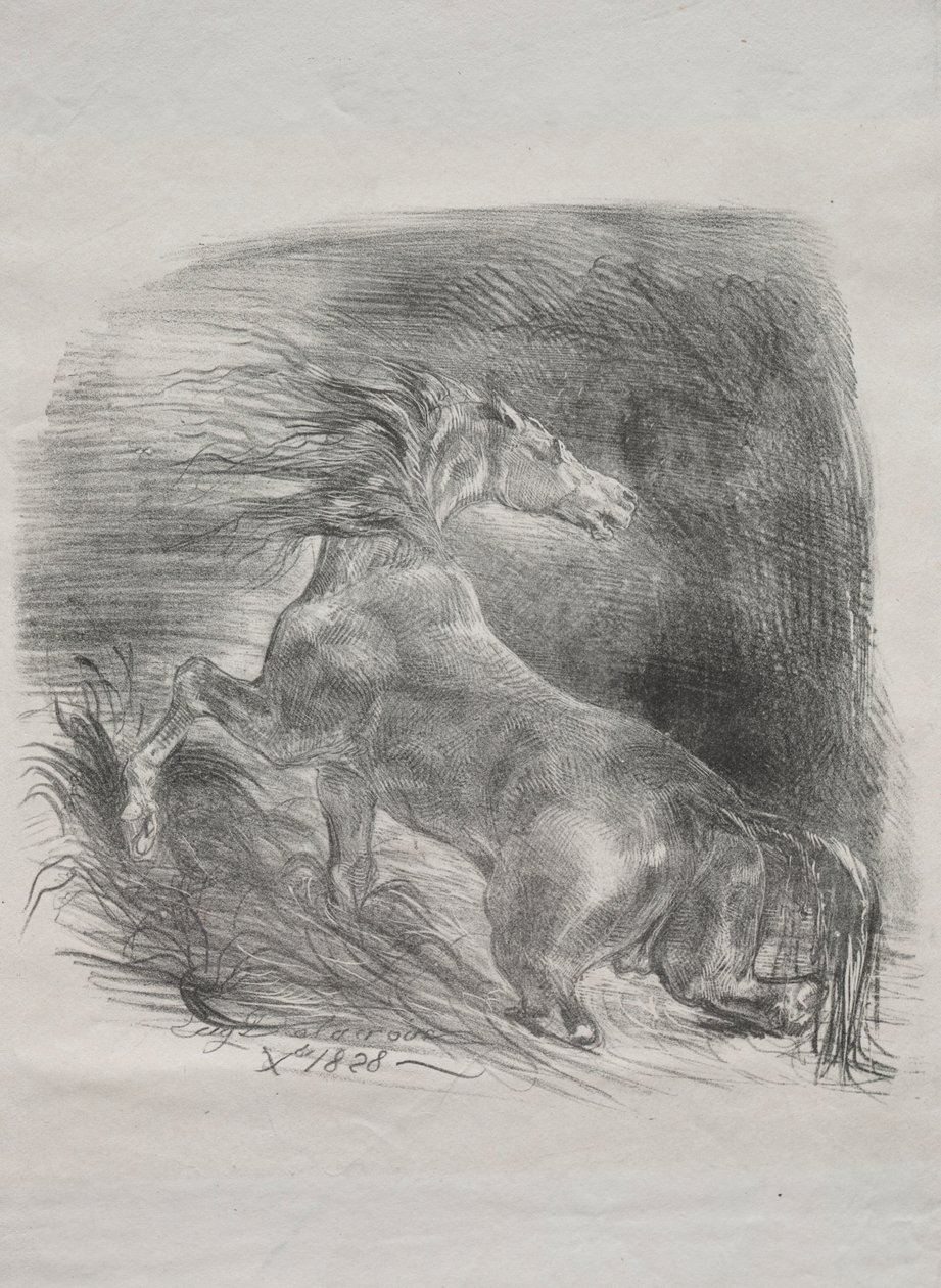 Divoký kůň aneb Splašený kůň opouštějící vodu, 1828. od Ferdinand Victor Eugene Delacroix
