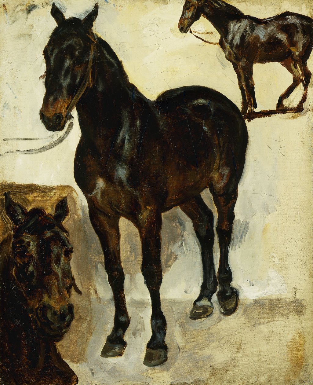 Tři studie o koních; Tři studie o koních, c.1823 od Ferdinand Victor Eugene Delacroix