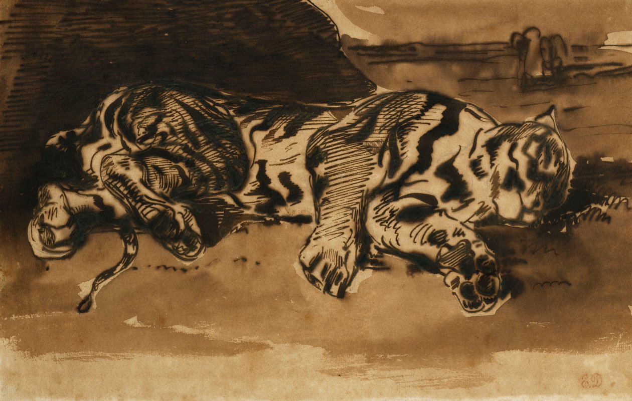Tygr vleže; Tigre Couche, 1858 od Ferdinand Victor Eugene Delacroix