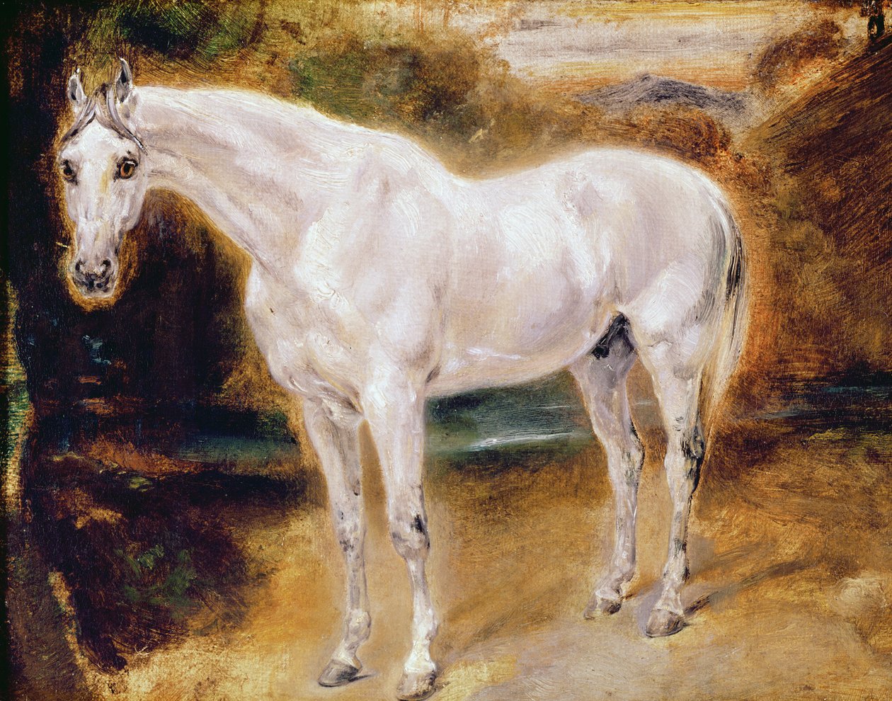 Bílý kůň od Ferdinand Victor Eugene Delacroix