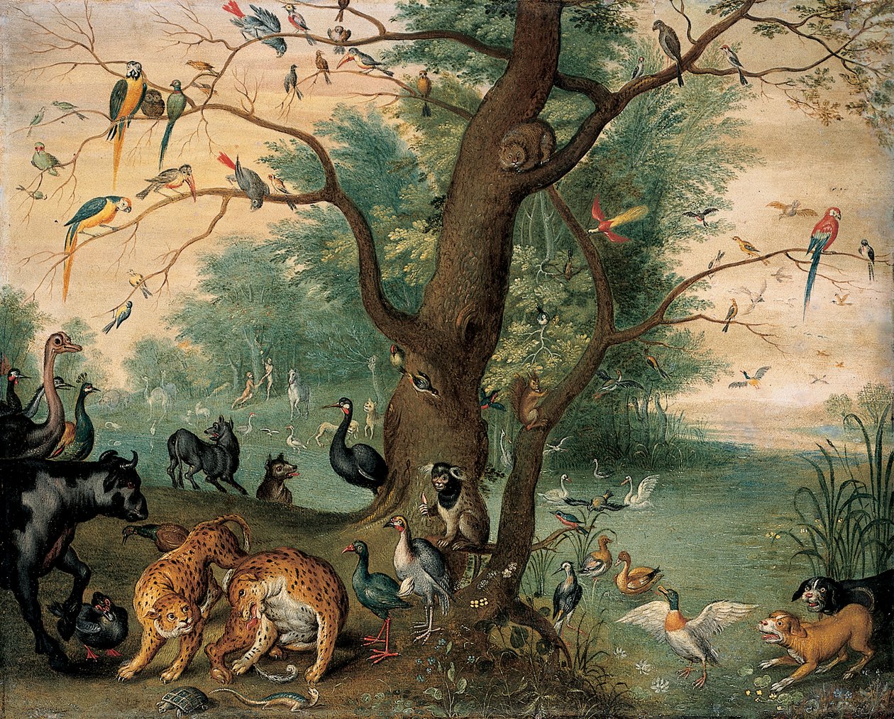 Zvířata a ptáci v zahradě Eden od Ferdinand van Kessel