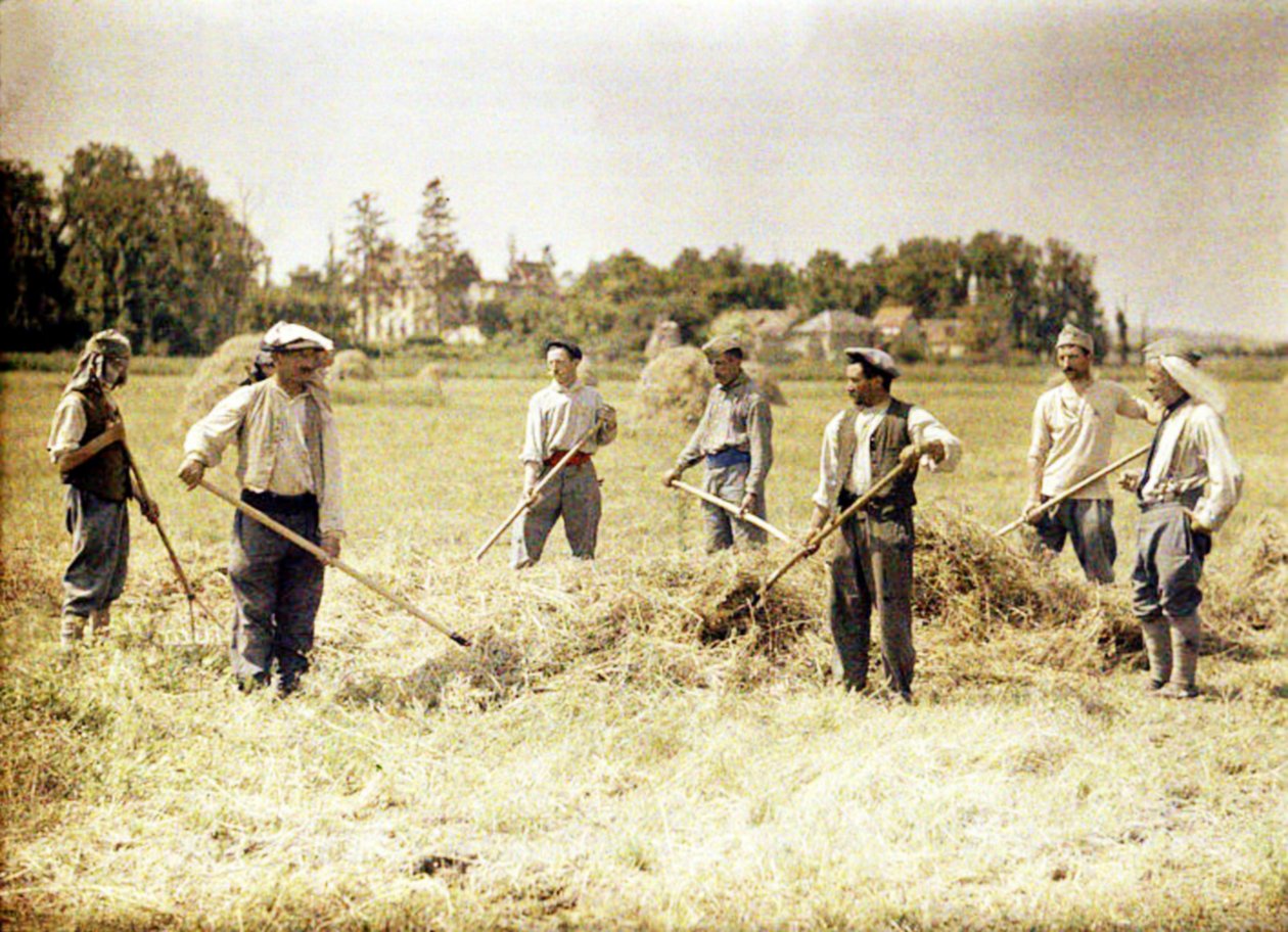 Osm příslušníků 143. pěší divize francouzské armády vyrábí seno, Soissons, Aisne, Francie, 1917 (autochrom) od Fernand Cuville