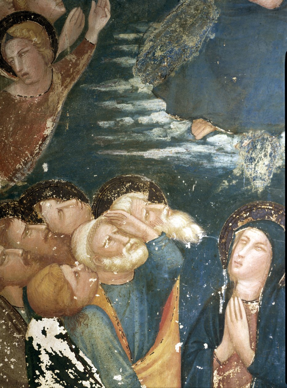  od Ferrer Bassa