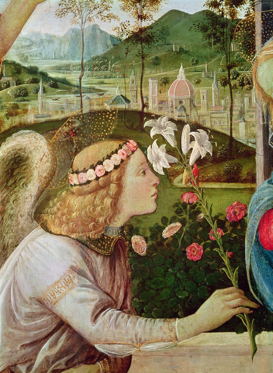 Zvěstování svatého Jana Křtitele a svatého Ondřeje s křížem detail hlavy anděla, 1483-5 olej na plátně od Filippino Lippi