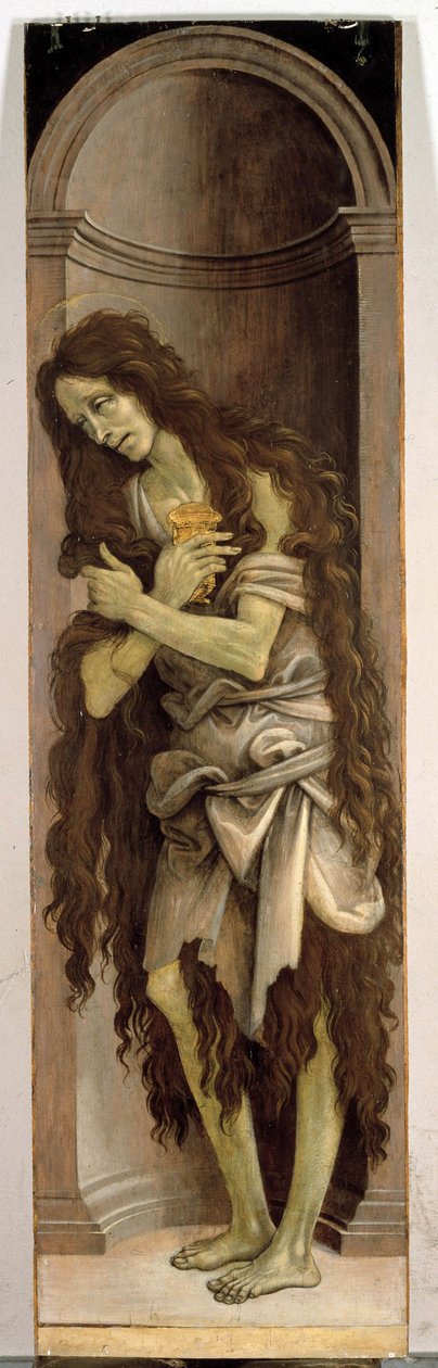 Neznámý obrázek od Filippino Lippi