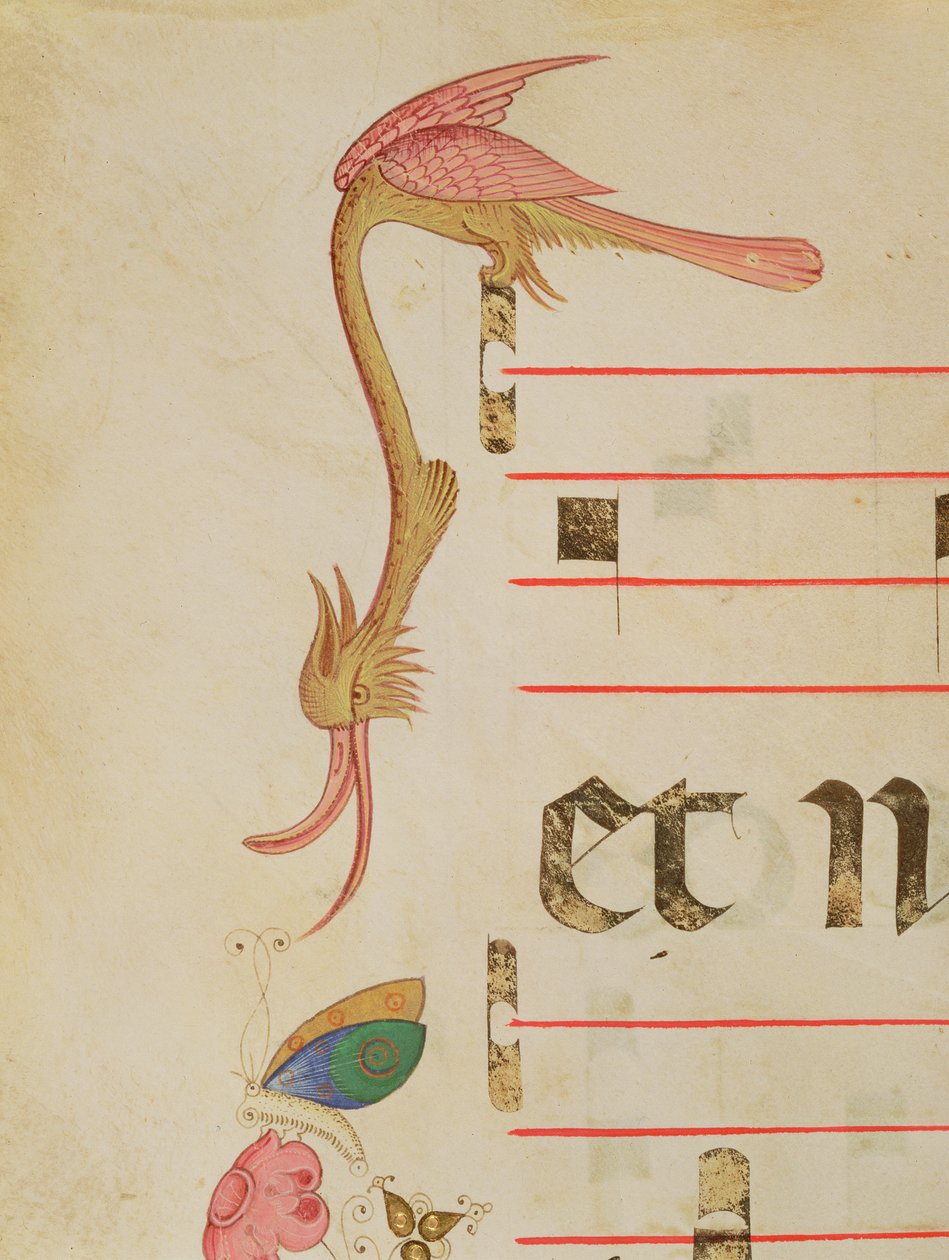 Missal 515 f.9r Fantastický pták lovící motýla, detail dekorativní bordury z chórové knihy vydané před rokem 1449 od Filippo di Matteo Torelli