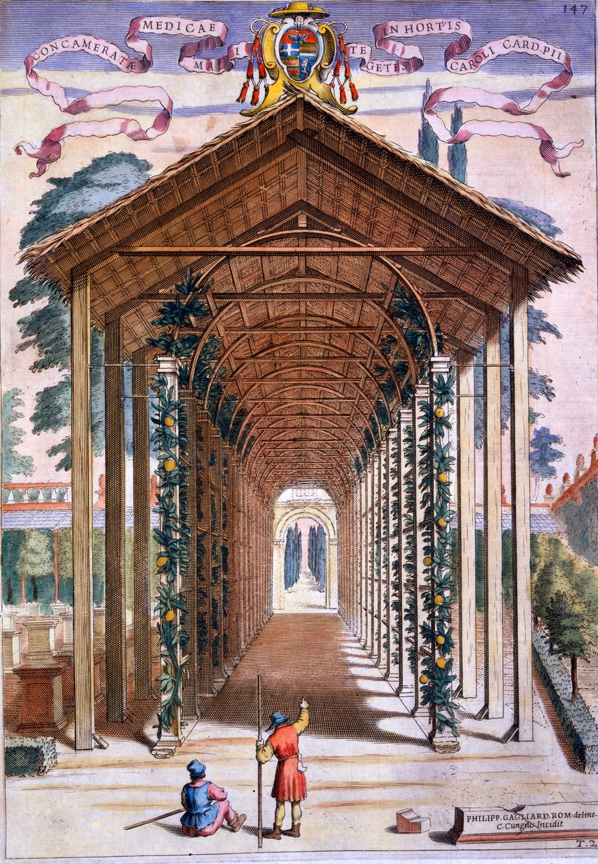 Trellised Covered Walkway, z 