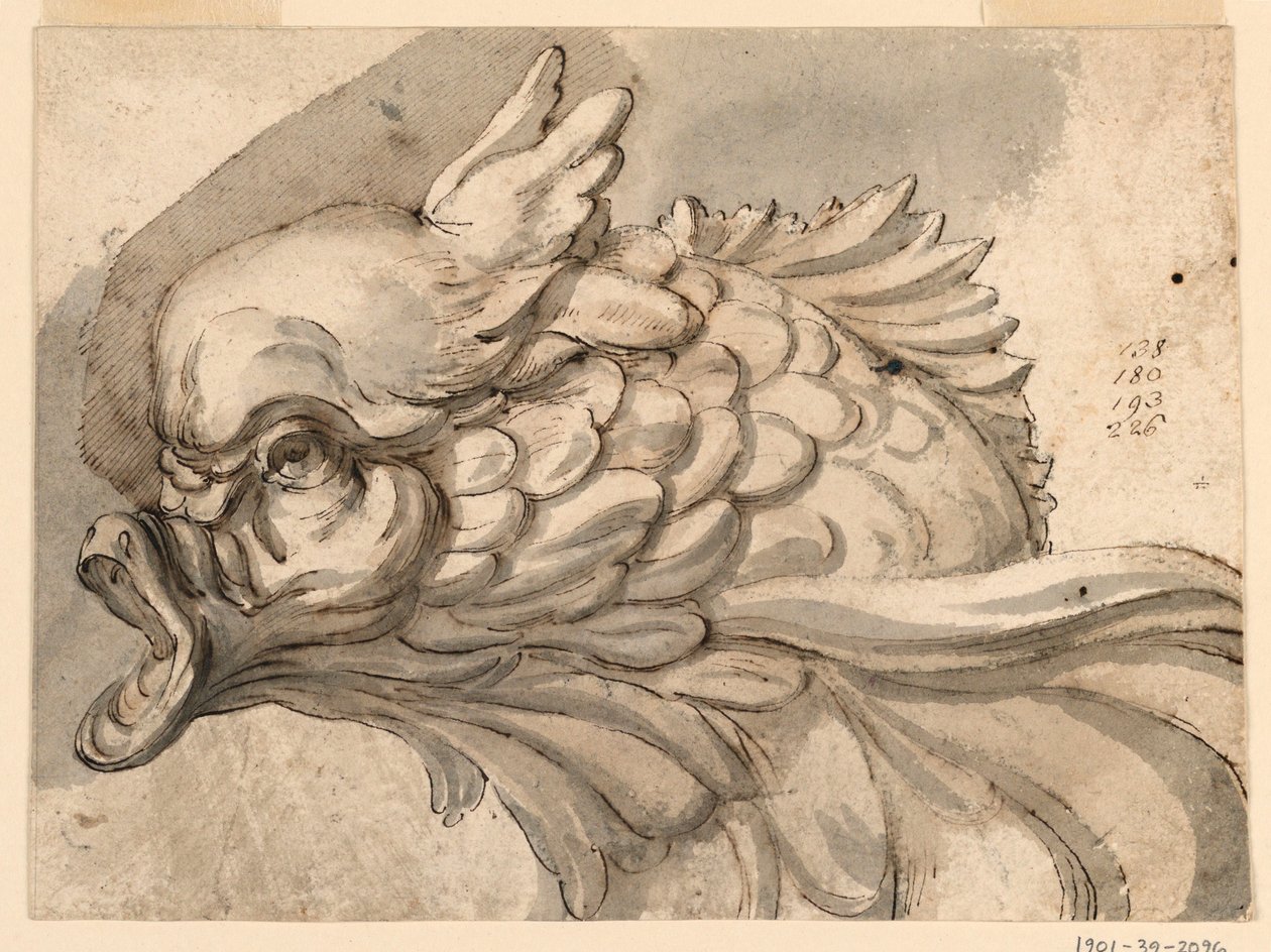 Kresba, Hlava delfína, asi 1775 od Filippo Marchionni