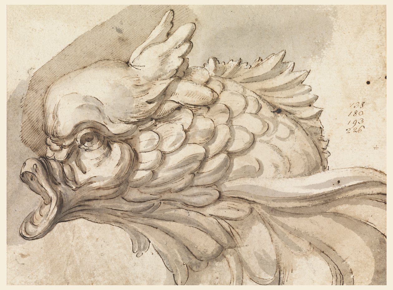 Hlava delfína od Filippo Marchionni
