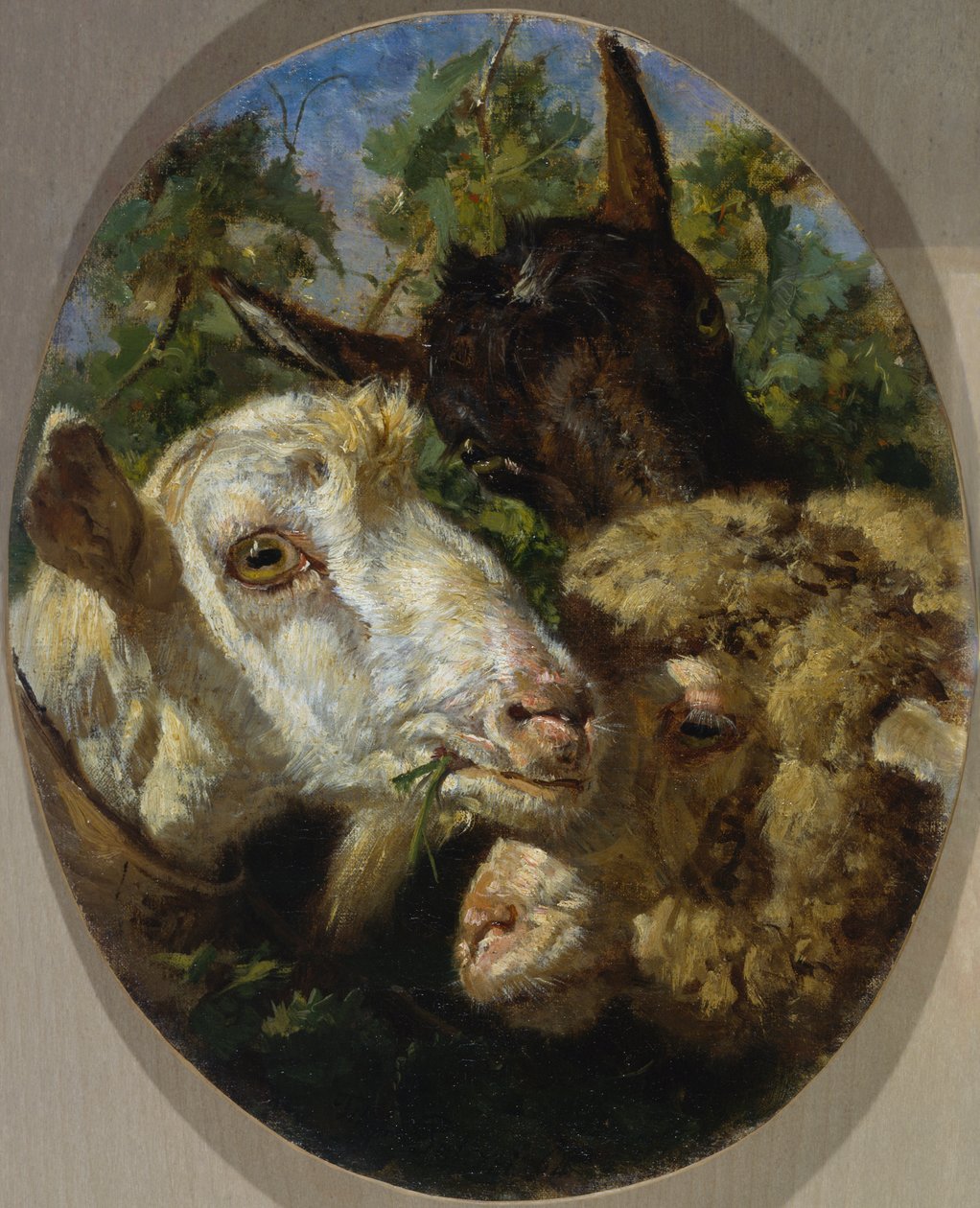 Hlavy zvířat od Filippo Palizzi