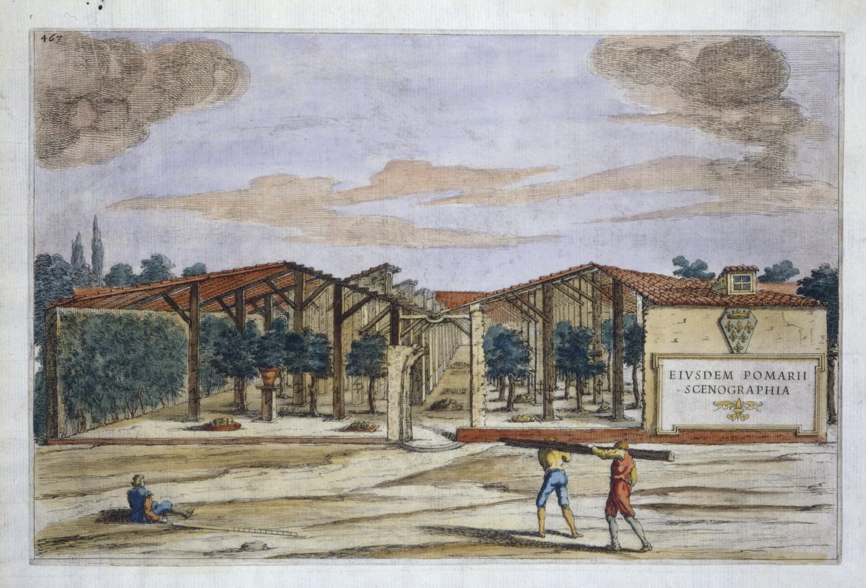Krytý sad, z knihy Hesperidky od Giovanniho Battisty Ferrariho, vyryl Camillo Congio (fl.1630), vydáno 1646 (ručně kolorovaná rytina) od Filippo after Gagliardi
