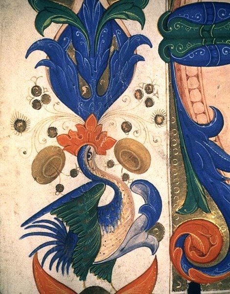 Misál 515 1r Zoomorfní listový okraj, detail ze sborové knihy provedené před rokem 1449 (detail 88903) od Filippo di Matteo Torelli