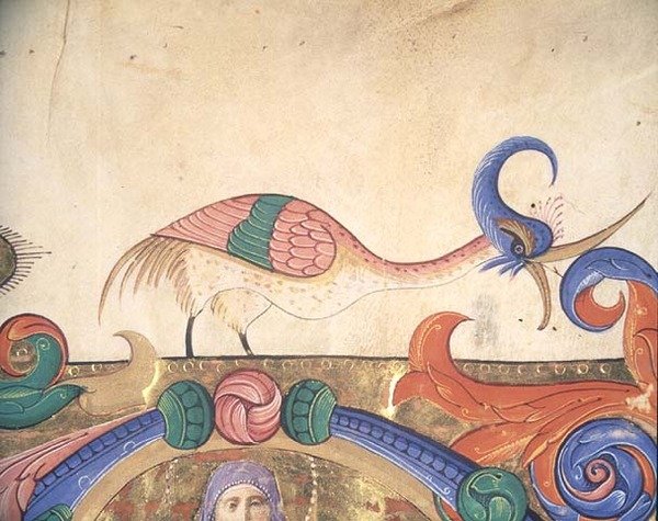 Misál 515 f.169r Fantastický pták, detail výzdoby kolem historické iniciály ze sborové knihy provedené před rokem 1449 (vellum) (detail 56720) od Filippo di Matteo Torelli